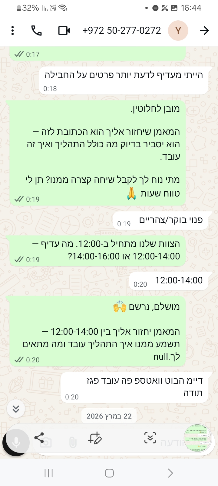 צילום מסך סוכן WhatsApp